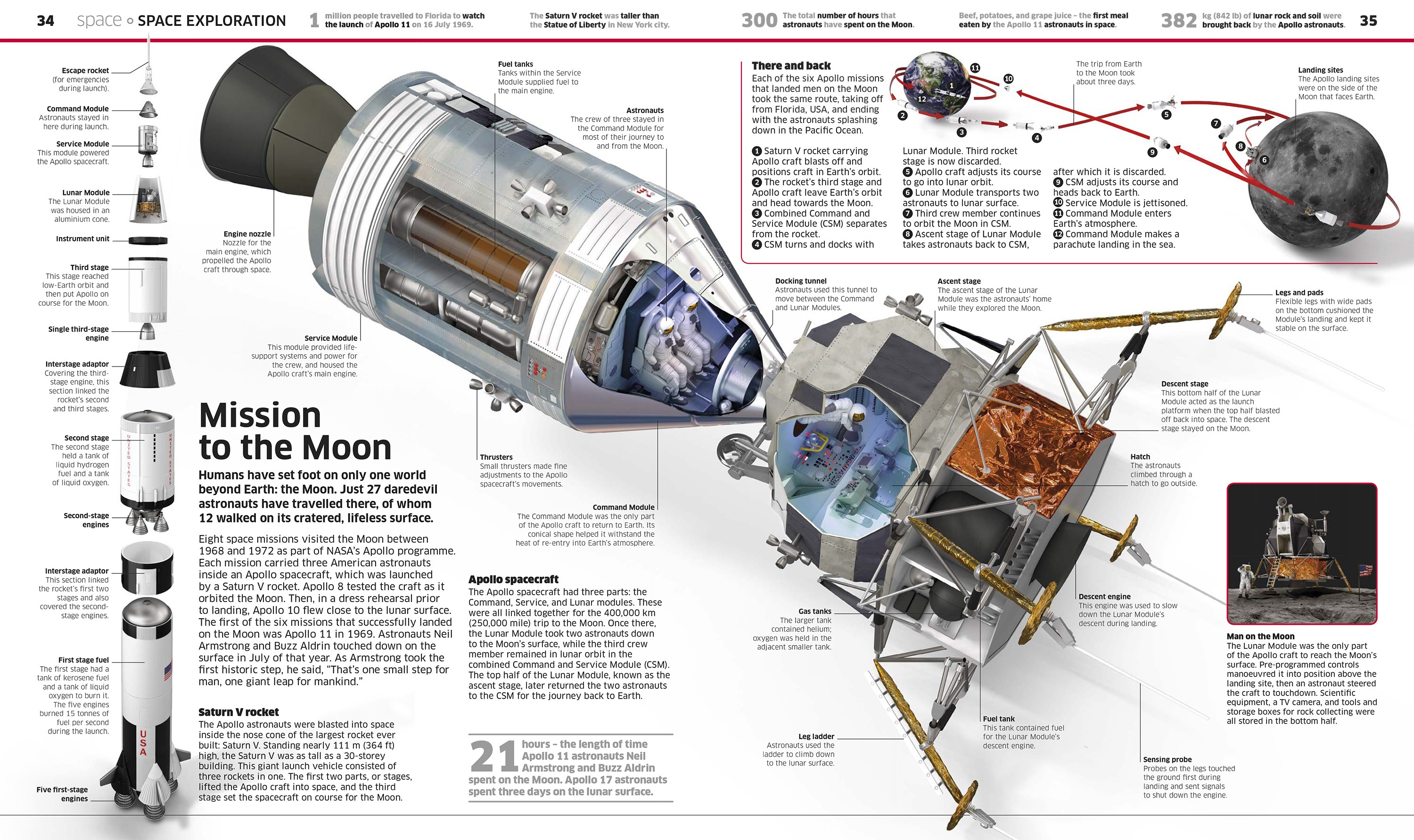 Dorling Kindersley | Knowledge Encyclopedia Illustrations | Stas3dArt